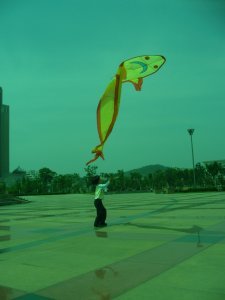 A local kid at the park playing with a kite