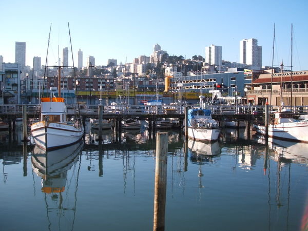 Harbour at Fishermans Wharf