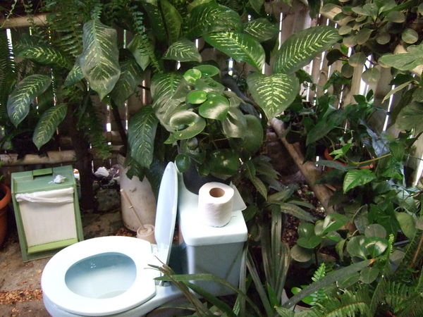 "Greenest toilet in Guatemala"