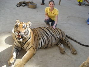 Tiger Tempel