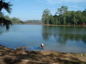The lake at entrance to angor wat!