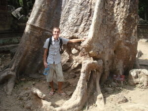 check out the size of that trunk!