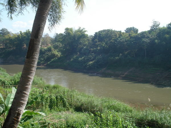 The mekong river