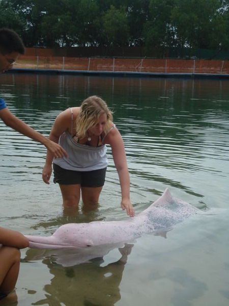 han with the pink dolphin..