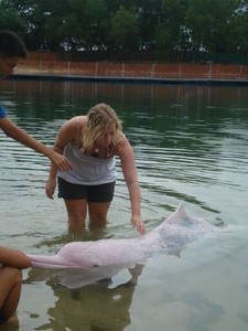 han with the pink dolphin..