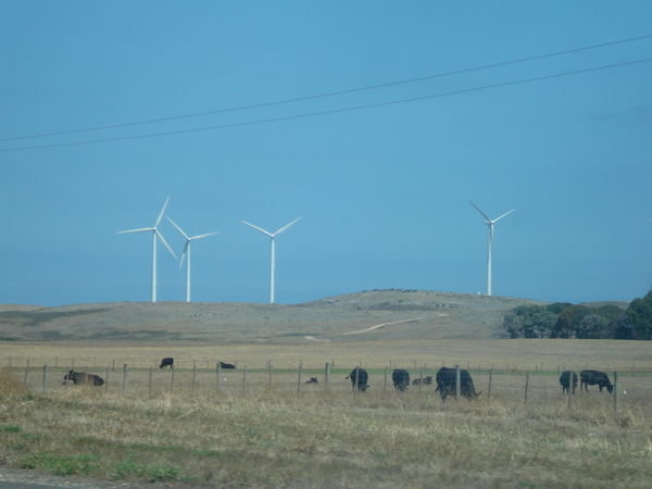 wind farms..