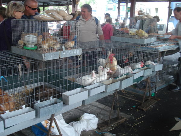 The live poultry section..