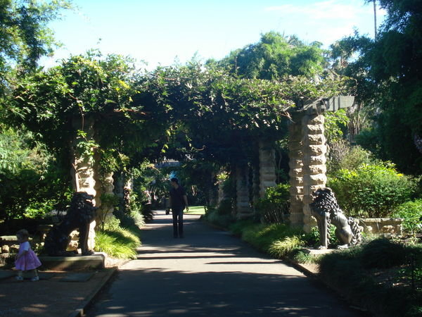 the botanical gardens..