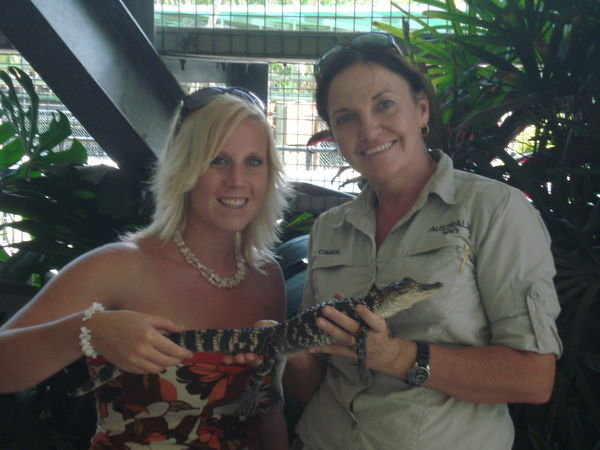 holding a baby alligator..