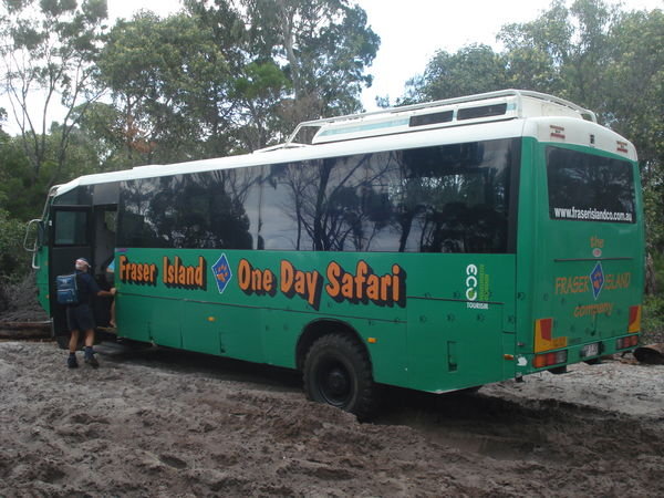 the safari bus..
