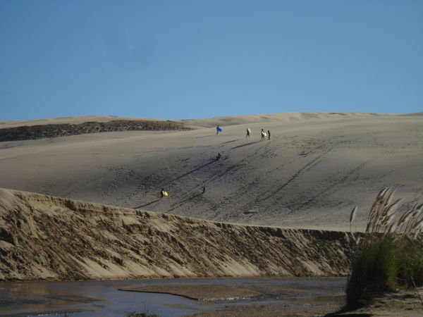the dunes..