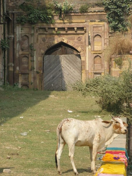 fort in Allahabad