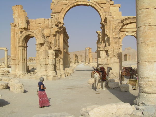 Palmyra - Camels