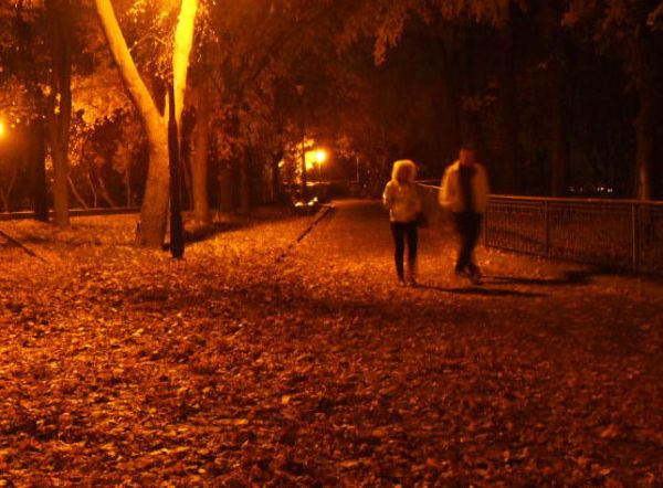Mariinskii Park at midnight.