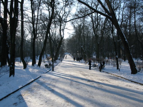 A park in Lviv.