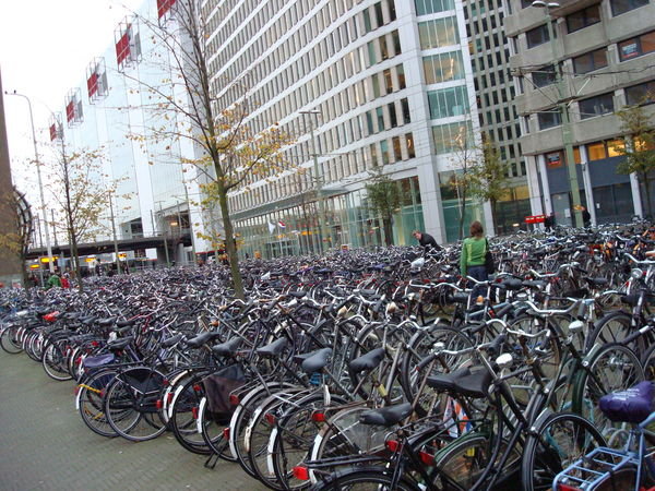 Bicycles!