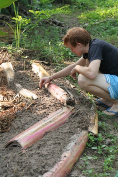 Evan planting seedlings