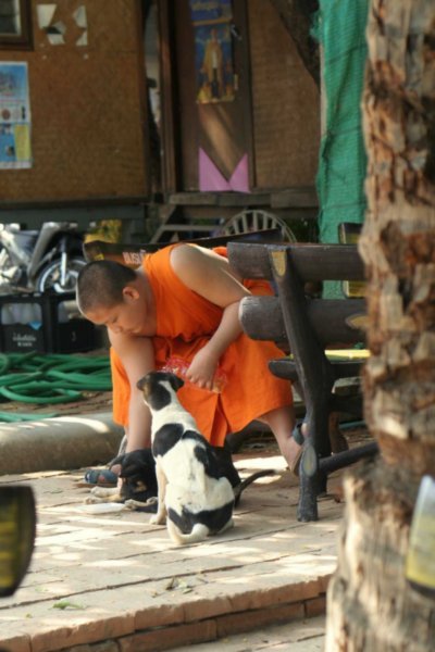 monk playing with dog