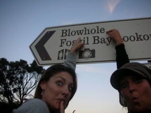 the blowhole!