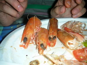 awww... bless the shrimps!!