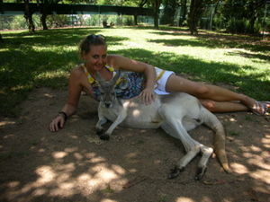 its not everyday you get to spoon a kangeroo!!!