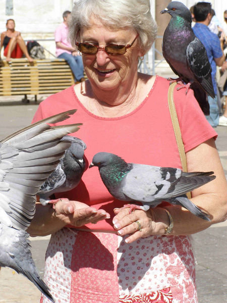 Lois with the pigeons