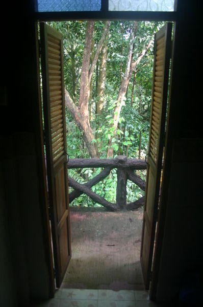 View of the jungle from the inside of the treehouse