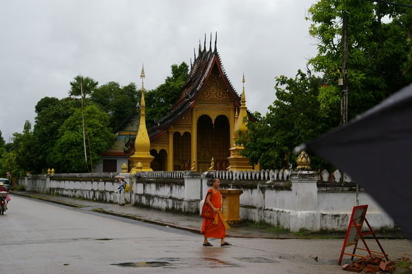 Monk walking in the Luang Prabang Rain
