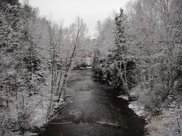 Luminen jokiuoma
