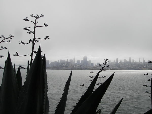 San Franciscon skyline