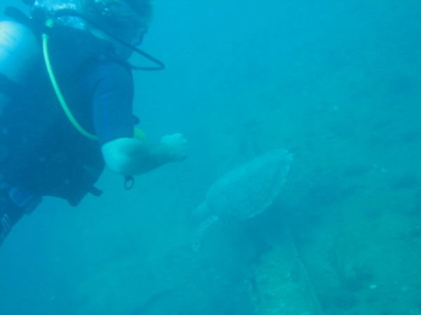 Diving Koh Phi phi 
