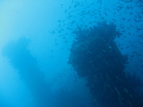 Yongala Shipwreck