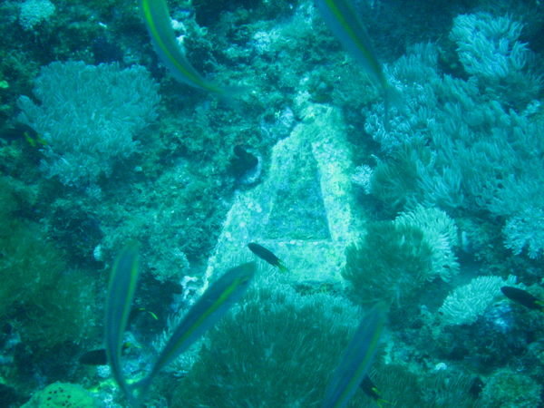 Yongala Shipwreck