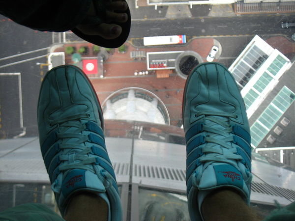Dont look down!