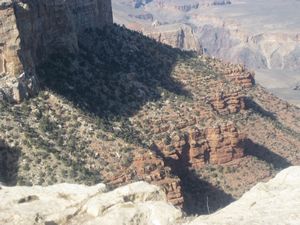 The Grand Canyon 086