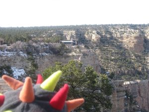 The Grand Canyon 091