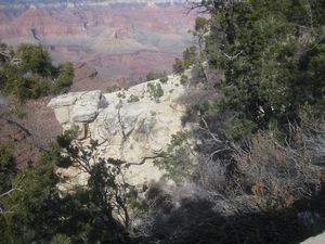 The Grand Canyon 092