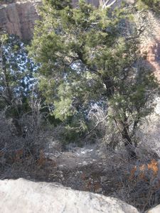 The Grand Canyon 093
