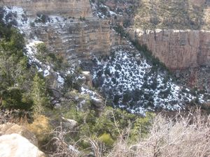 The Grand Canyon 096
