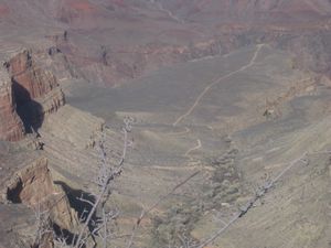 The Grand Canyon 098