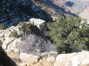 The Grand Canyon II 066