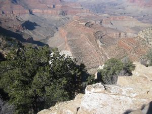 The Grand Canyon II 067