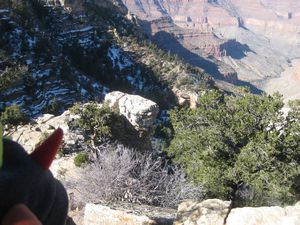 The Grand Canyon II 068
