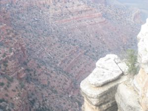The Grand Canyon 131