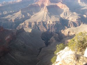 The Grand Canyon 137