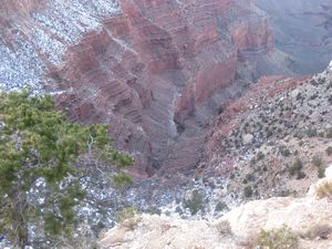 The Grand Canyon 141