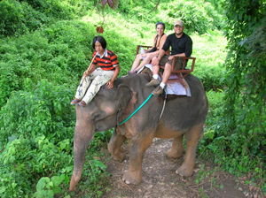 us on the elephant!
