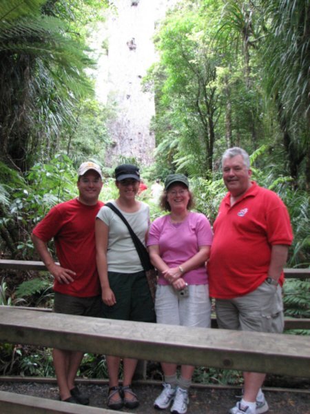 in front of the kauri tree