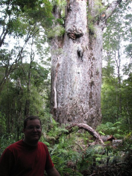 Duane and the second largest kauri