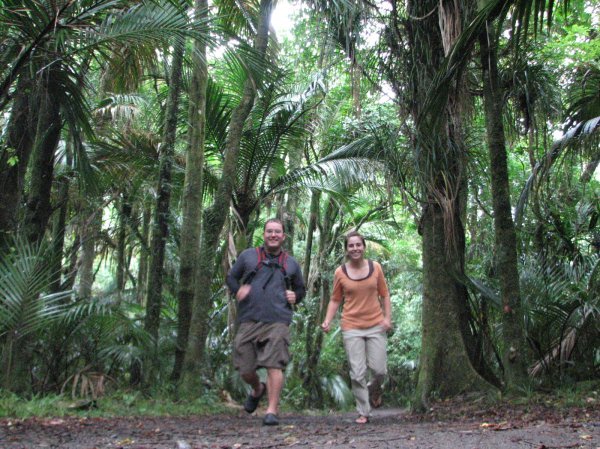 running in the rainforest